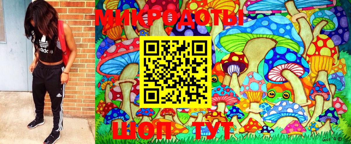 Псилоцибиновые грибы Psilocybine cubensis Истра